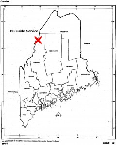 Guided Maine Moose Hunts