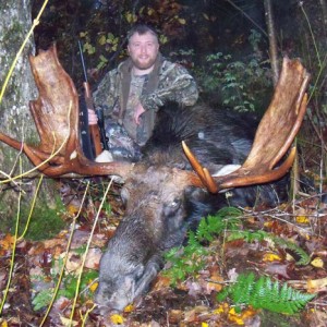 Trophy Moose Hunt