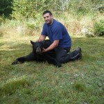 Maine Black Bear 2011 Hunt