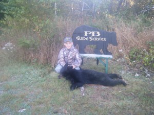 Maine Black Bear 2011