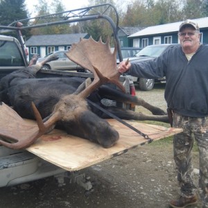 Maine Moose 5