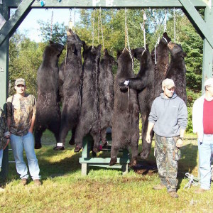 Black Bear Hunting24
