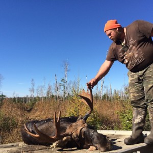 Maine Moose Hunting2