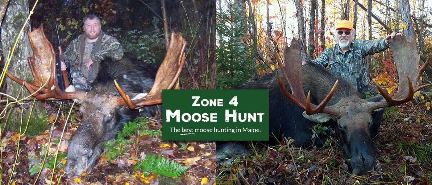 maine moose hunting lodge zone 4