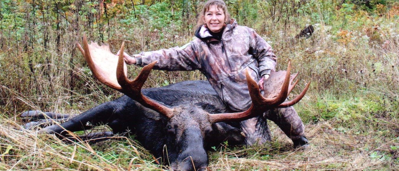WMD 4 Maine Moose