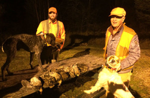Successful Partridge Hunt with Dogs